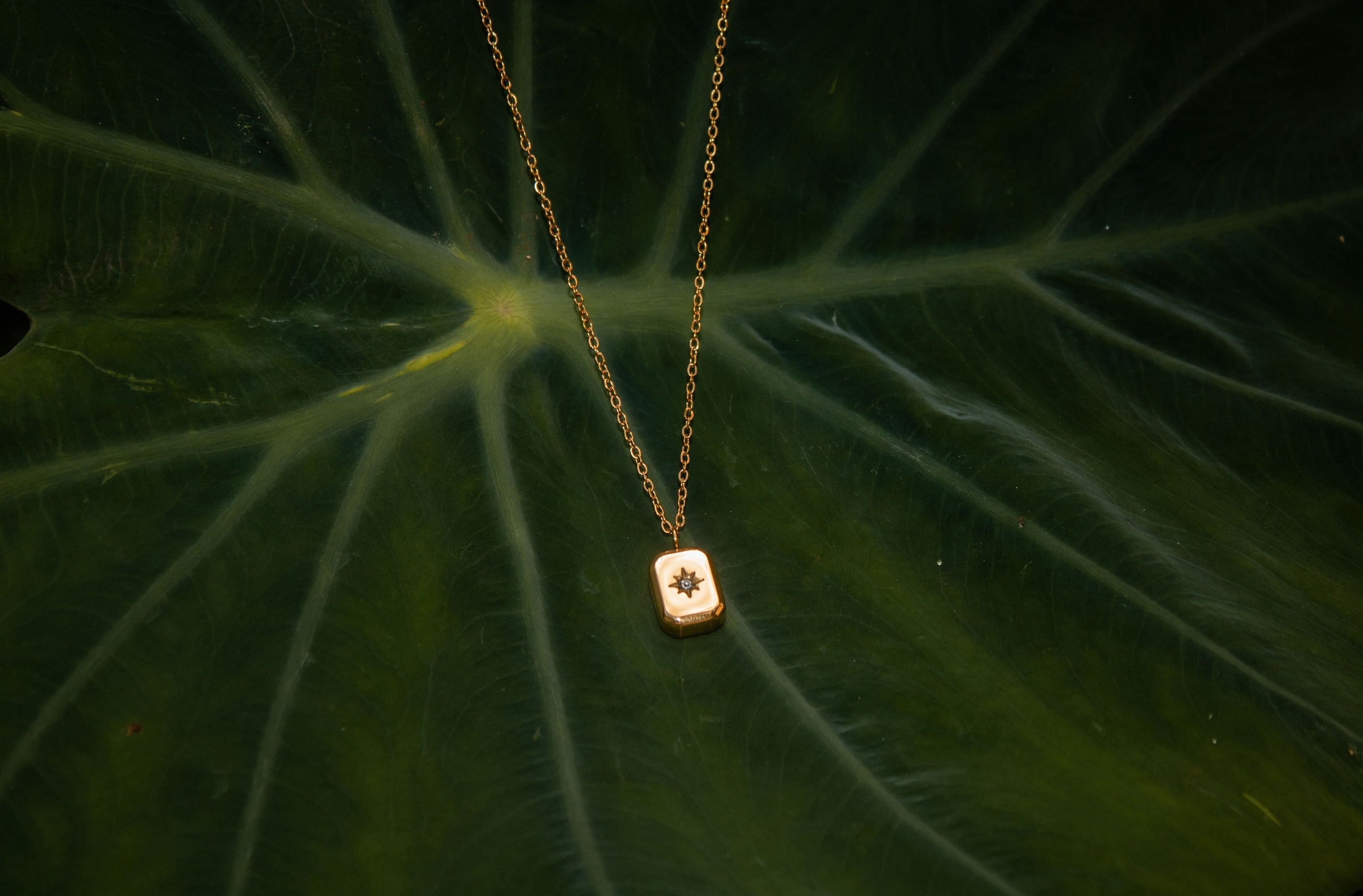 Cubic zirconia star pendant necklace