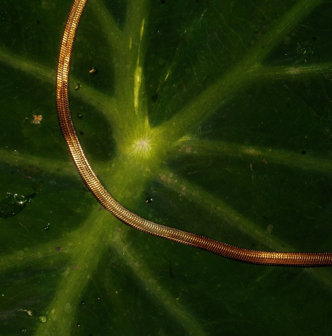 Classic snake chain