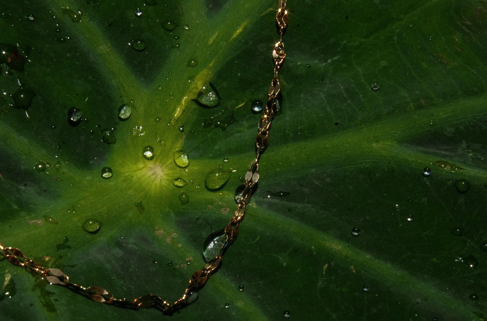 Thin chain assorted