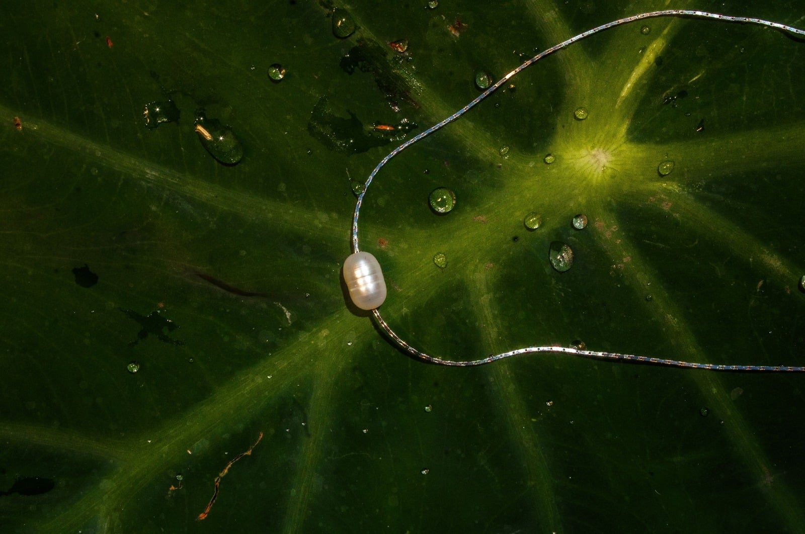 Sterling silver pearl necklace