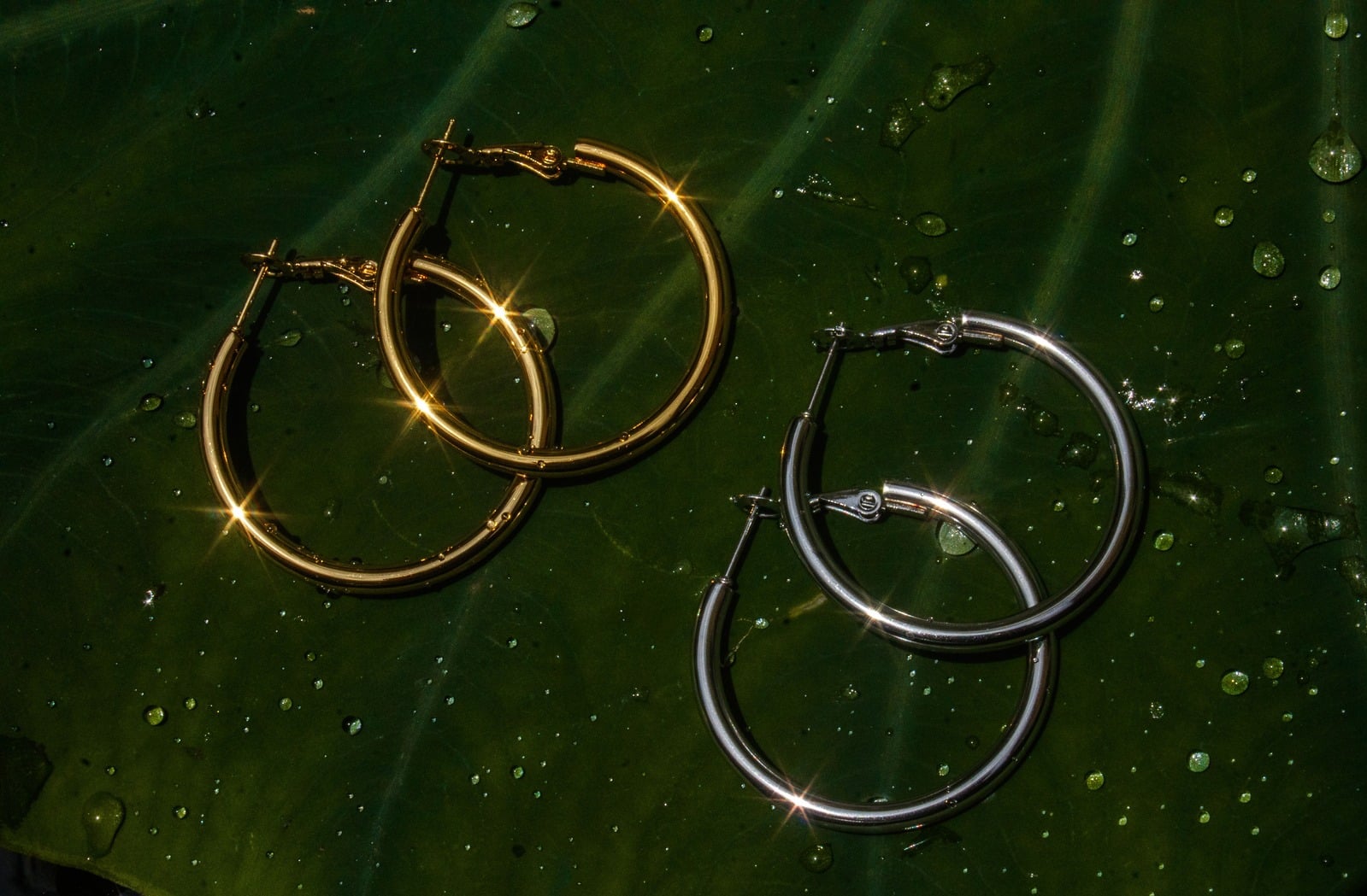 Medium hoop earrings round