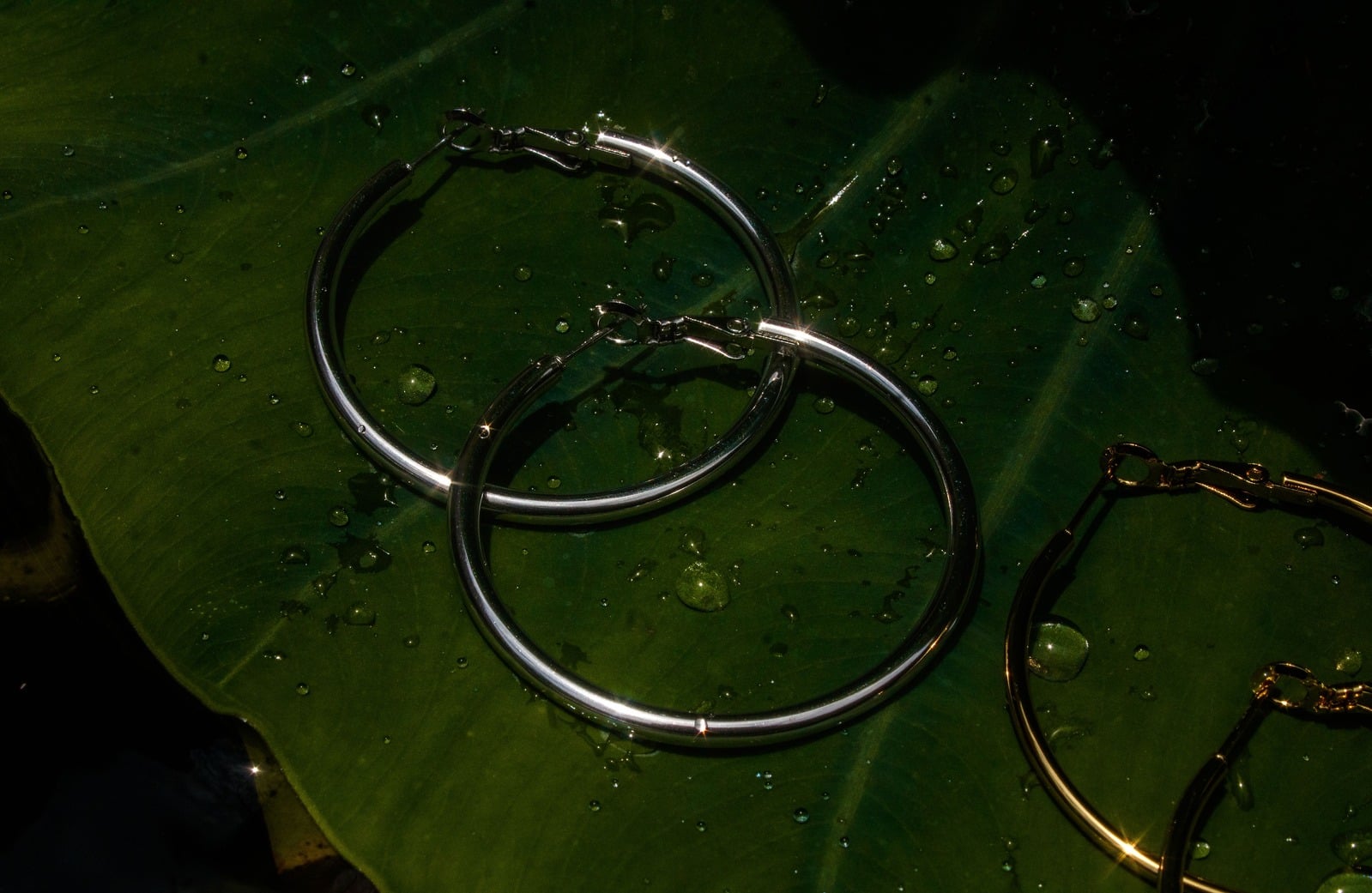 Large hoop earrings round